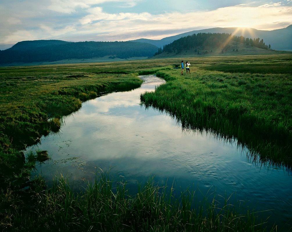 Elk grazing in a meadow by a stream in Valles Caldera